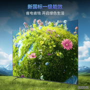 电视机品牌推荐与挑选指南：轻松找到理想之选